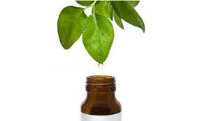 Tea tree oil για την θεραπεία της ακμής