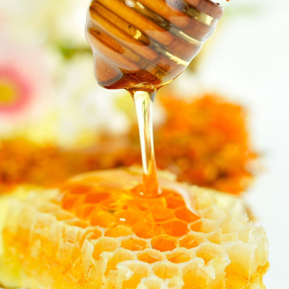 Εκπληκτικό! Έρευνα του Α.Π.Θ. εξέτασε 48 διαφορετικά ελληνικά μέλια. Δείτε ποιο μέλι είναι το καλύτερο για την υγεία!