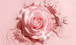 Τριαντάφυλλο: Το μυστικό για λαμπερή και νεανική επιδερμίδα