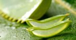Aloe vera gel – 10 τρόποι χρήσης