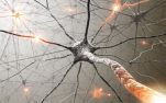 7 τρόποι για να αναπτυχθούν νέοι νευρώνες σε οποιαδήποτε ηλικία