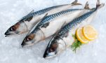 Τα καλύτερα ψάρια για την υγεία: Πρωτεΐνες, βιταμίνες, μέταλλα και οφέλη για ασθένειες