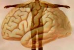 6 παμπάλαια γιατροσόφια για το μυαλό και το σώμα