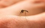 Οκτώ φυσικοί τρόποι για να μειώσετε το τσίμπημα των κουνουπιών
