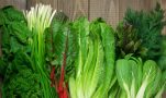 Οστεοπόρωση: Το καλύτερο λαχανικό ενάντια στην απώλεια οστικής μάζας