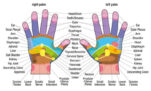 Πιεσοθεραπεία: 6 Ισχυρά Σημεία στα Χέρια μας που Θεραπεύουν Ασθένειες.